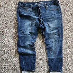 Universal Thread Blue Ankle Cropped Jeans